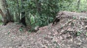 IMG_20210502_162400.jpg