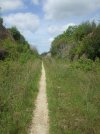 DSCF0721.JPG