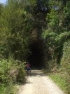 DSCF0731.JPG