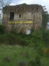 DSCF0708.JPG