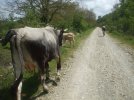 DSCF0754.JPG