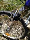 IMG_20210509_105522.jpg