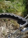 IMG_20210509_105541.jpg
