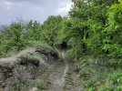 20210501_100648.jpg