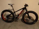 fat bike salsa limited edition