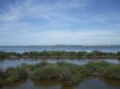 DSCF0938.JPG