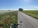 5D334559-A97B-419E-BEF9-370BF64590D1.jpeg