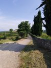 20210602_095939.jpg