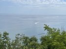 9DAAD05C-C883-44E2-9741-A496DE792BB2.jpeg