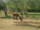 DSCF1143.JPG