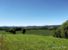 IMG_20210613_164356si.jpg