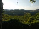 IMG_20210706_193330.jpg