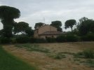 DSCF1275.JPG