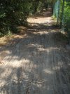 DSCF1351.JPG