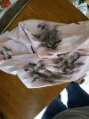 IMG_20190525_125515.jpg