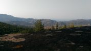 P_20210814_174937.jpg