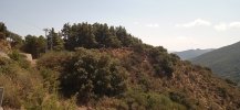 IMG_20210821_110709.jpg