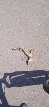 IMG_20210821_112047.jpg
