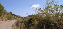 IMG_20210821_112512.jpg