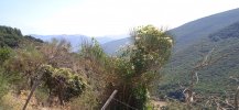 IMG_20210821_112634.jpg