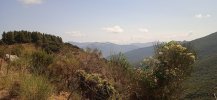 IMG_20210821_112700.jpg