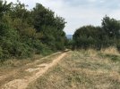 croce di CApriolo.jpg