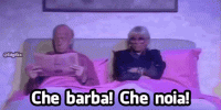 casa-vianello-che-noia.gif
