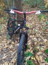 IMG_20210916_180231.jpg