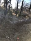 D0EE6391-8A5D-45AF-ADCD-05C1F88B0D88.jpeg