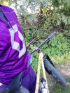 IMG_20211010_132639.jpg