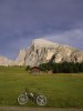 IMG_0109.jpg