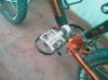 6 set 2008 031.jpg