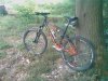 6 set 2008 025.jpg