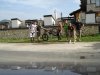DSC00065.jpg