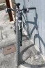 Immagine 512.jpg
