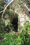 800px-Castro_-_Gola_fossile_del_Tinazzo.jpg