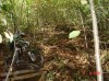 DSC03750.jpg