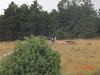 DSC03752.jpg