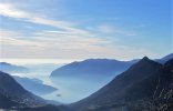 nebbia.jpg