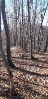 20220102_105143.jpg
