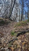 IMG_20220106_114705.jpg