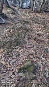 IMG_20220106_114523.jpg