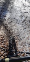 20220108_124608.jpg