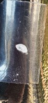 20220123_105042.jpg