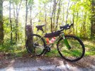 Wilier jaroon acciaio