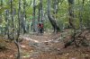 DSC_0067.jpg