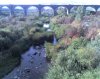 11-09-08_0825.jpg