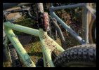 6295B7CC-F14E-4E61-AF1D-1EAA9EAB70A3.jpeg