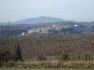 DSCF2401.JPG