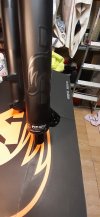 Fox_160_05.jpg